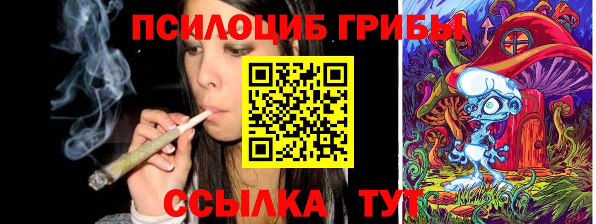 Великие Луки  Галлюциногенные грибы Psilocybine cubensis  Вход с VPN  Галлюциногенные грибы GOLDEN TEACHER 