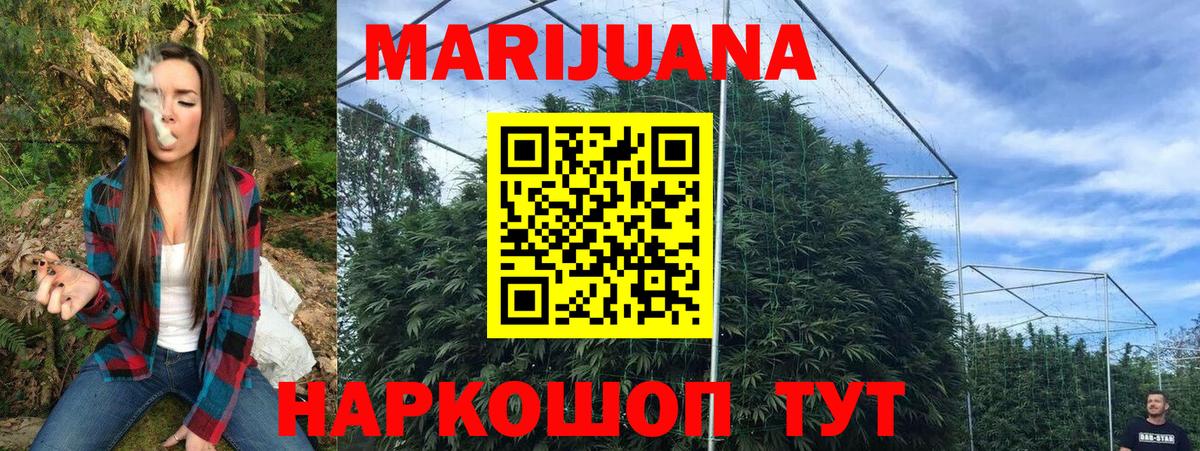 Великие Луки  Марихуана Bruce Banner  Вход с VPN  Каннабис план 
